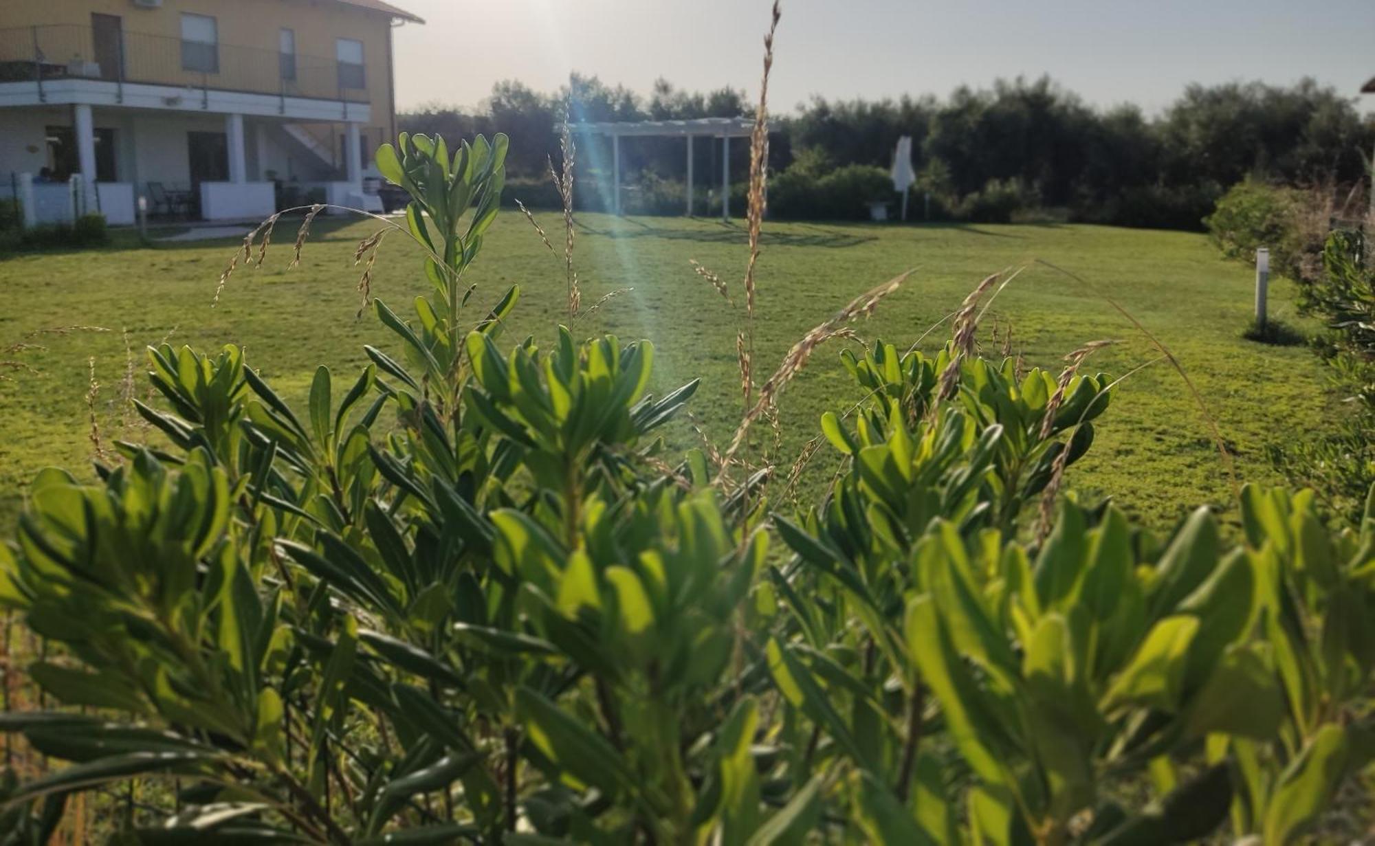فاستو Natura E Mente Camere E Relax المظهر الخارجي الصورة